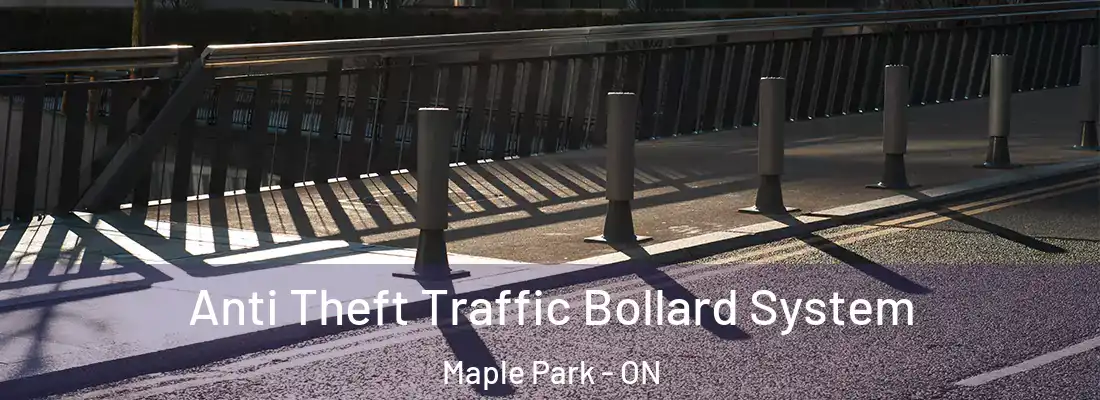 Anti Theft Traffic Bollard System Maple Park - ON