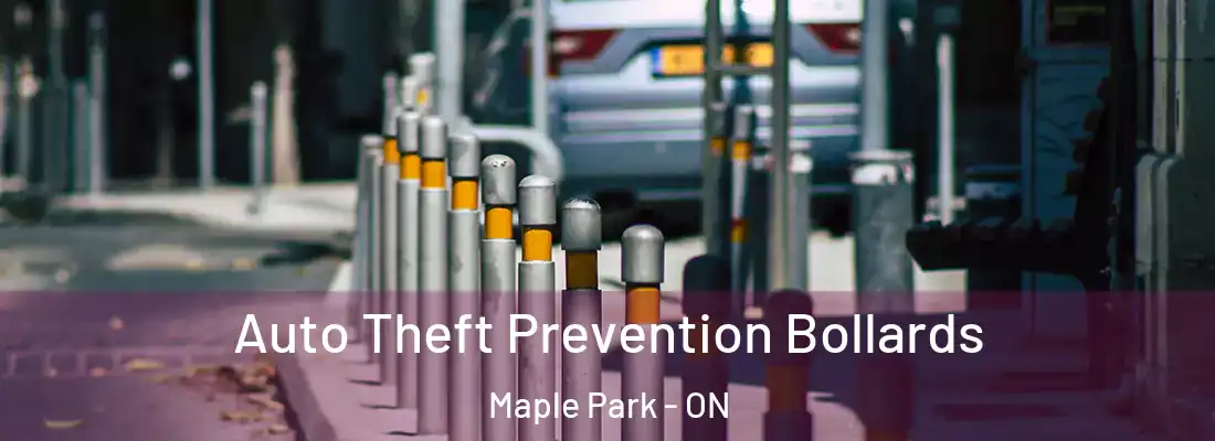 Auto Theft Prevention Bollards Maple Park - ON