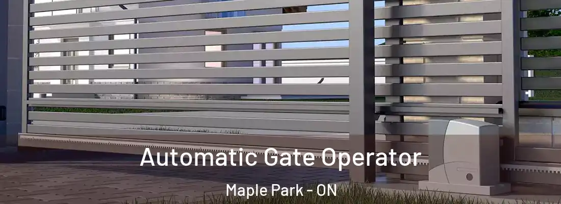  Automatic Gate Operator Maple Park - ON