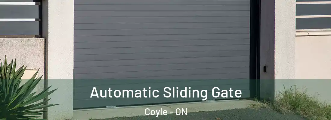 Automatic Sliding Gate Coyle - ON