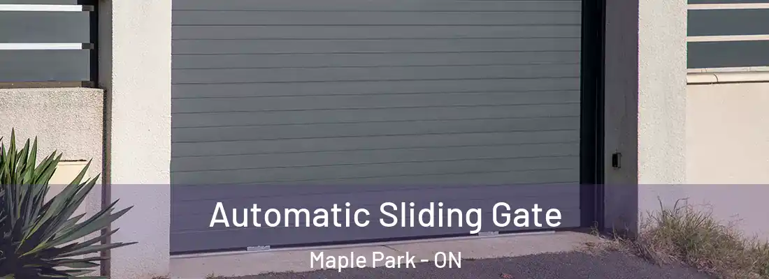 Automatic Sliding Gate Maple Park - ON