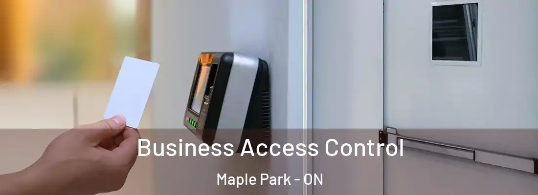 Business Access Control Maple Park - ON