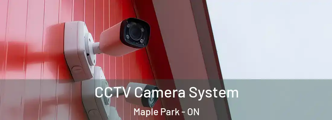 CCTV Camera System Maple Park - ON