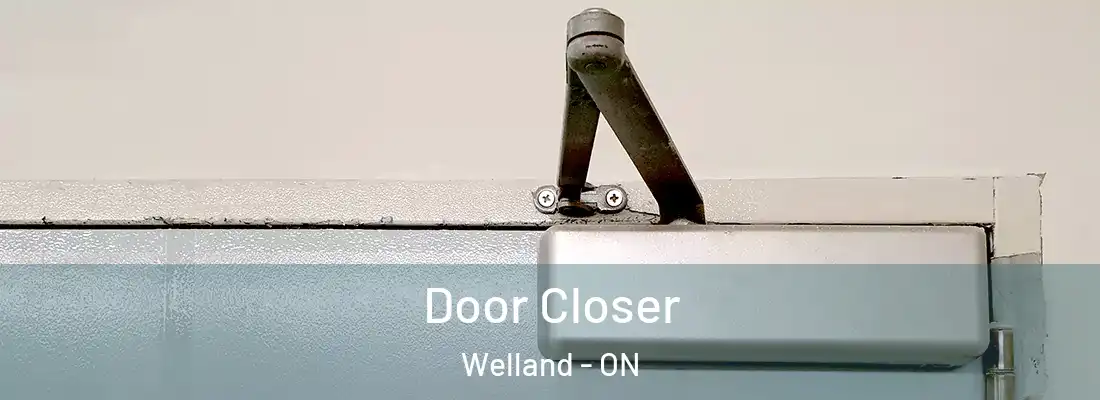  Door Closer Welland - ON