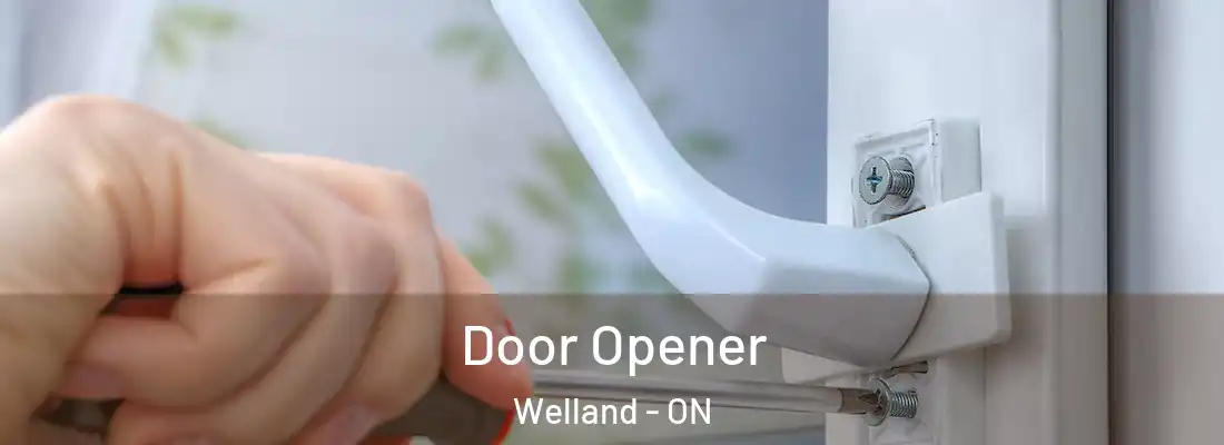  Door Opener Welland - ON
