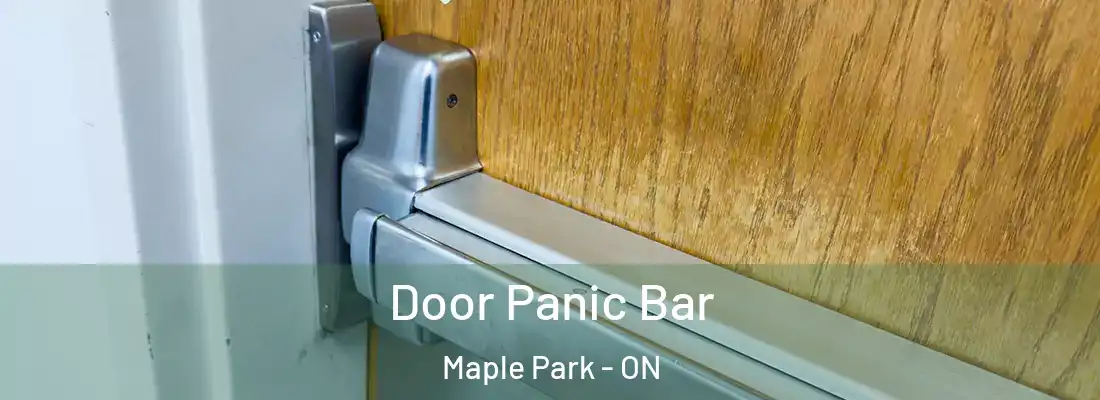 Door Panic Bar Maple Park - ON