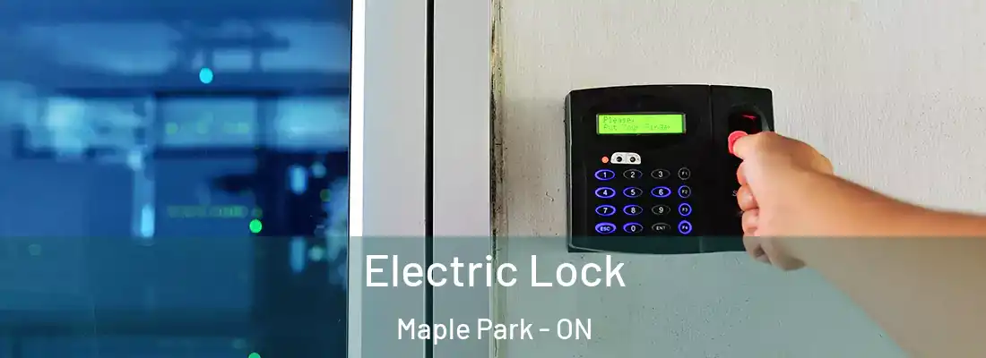 Electric Lock Maple Park - ON