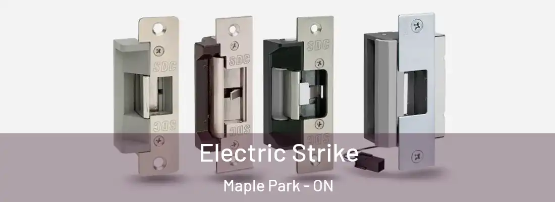 Electric Strike Maple Park - ON