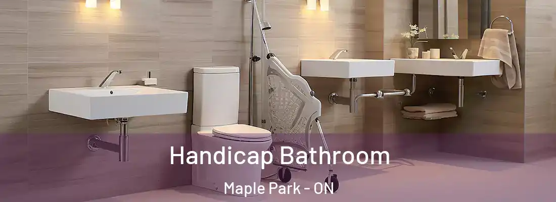 Handicap Bathroom Maple Park - ON