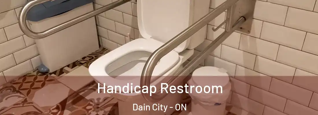 Handicap Restroom Dain City - ON