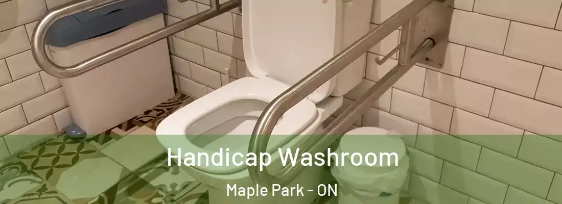 Handicap Washroom Maple Park - ON