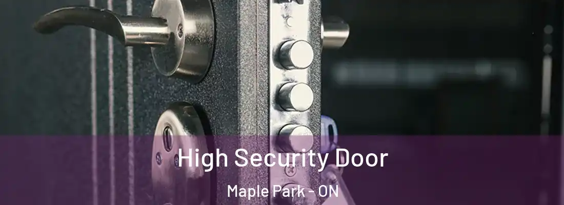  High Security Door Maple Park - ON