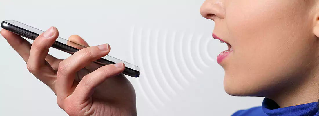 Residential and Commercial Voice Recognition Access Solutions in Welland, ON