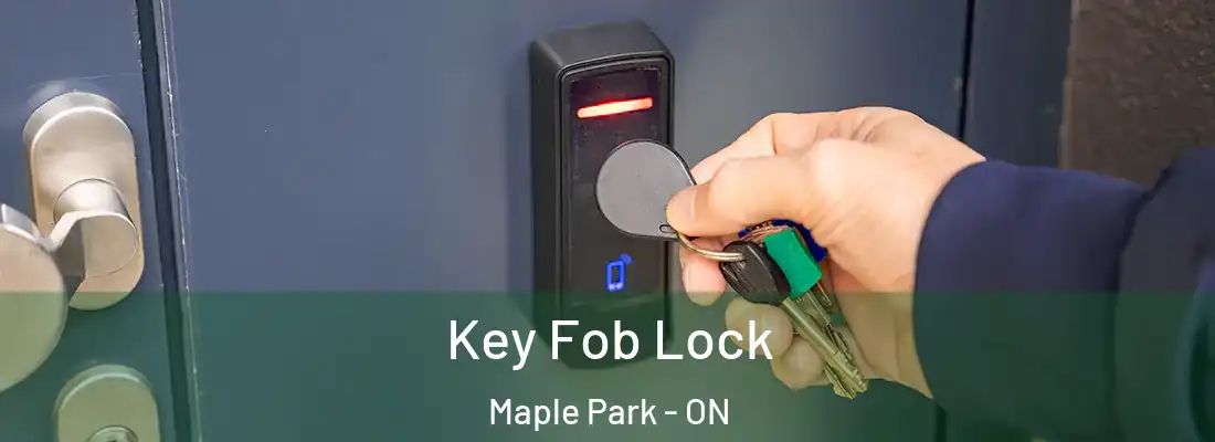  Key Fob Lock Maple Park - ON