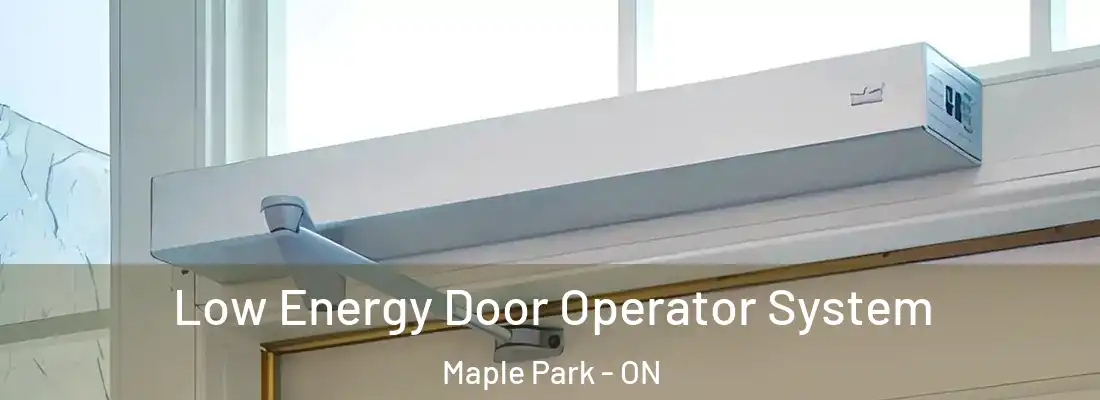 Low Energy Door Operator System Maple Park - ON