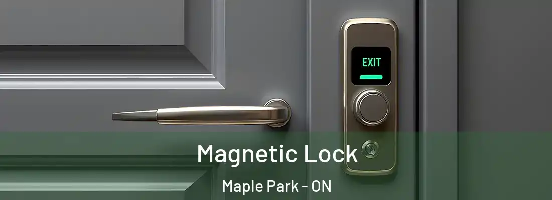  Magnetic Lock Maple Park - ON