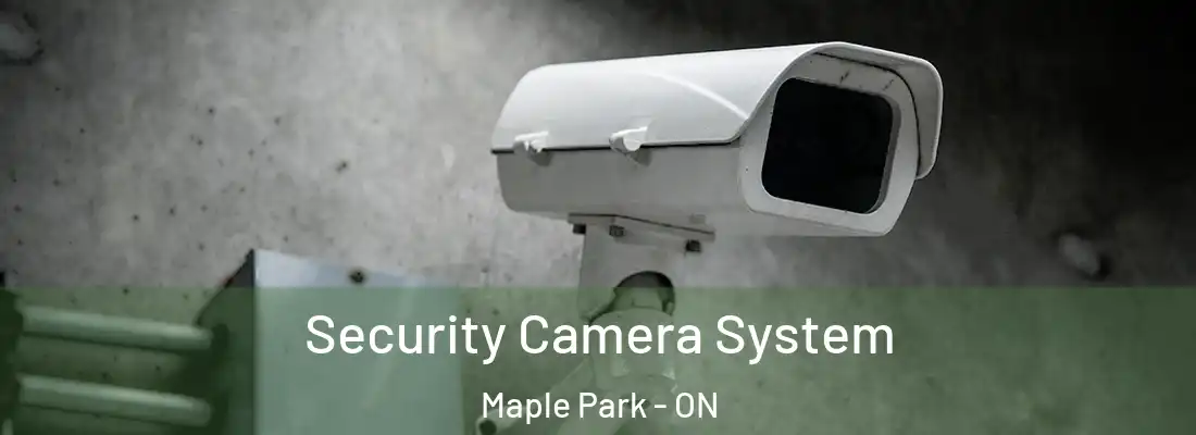 Security Camera System Maple Park - ON