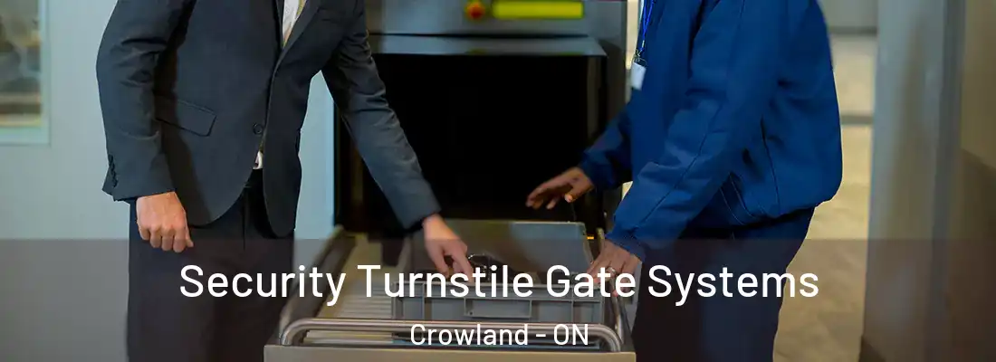 Security Turnstile Gate Systems Crowland - ON