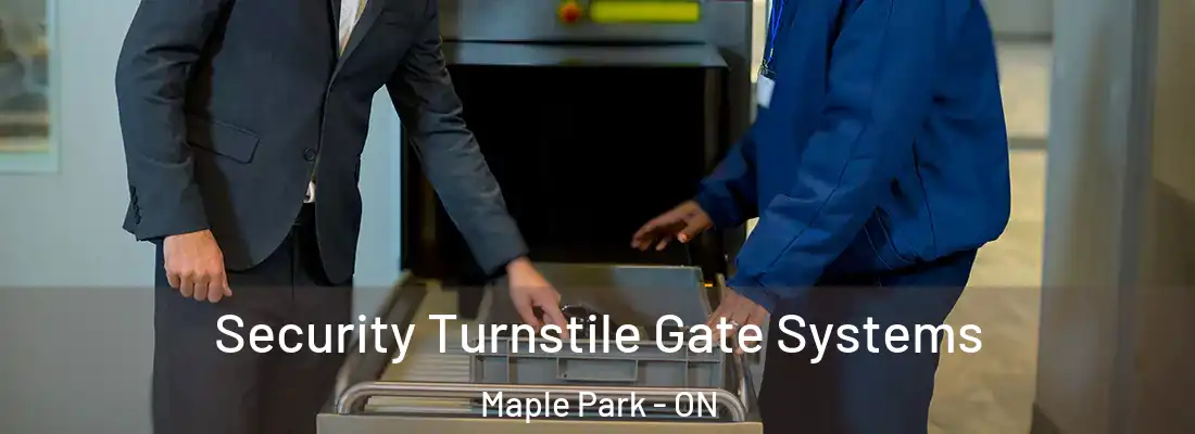 Security Turnstile Gate Systems Maple Park - ON