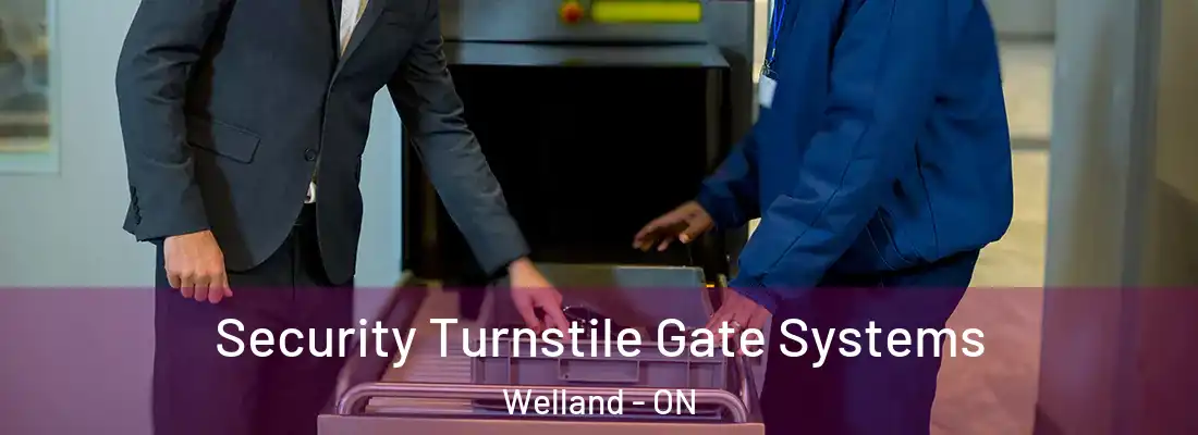 Security Turnstile Gate Systems Welland - ON